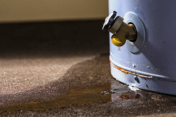  Indian Hills, NM Water damage restoration Pros