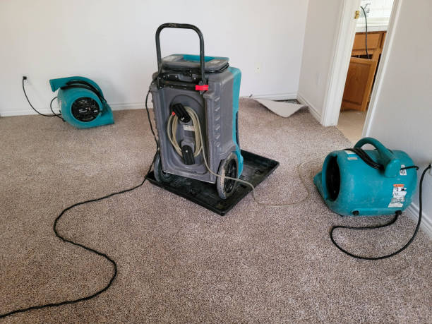 Best Residential water damage restoration  in Indian Hills, NM
