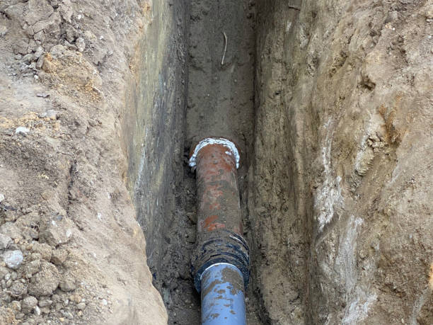 Best Flood damage cleanup  in Indian Hills, NM