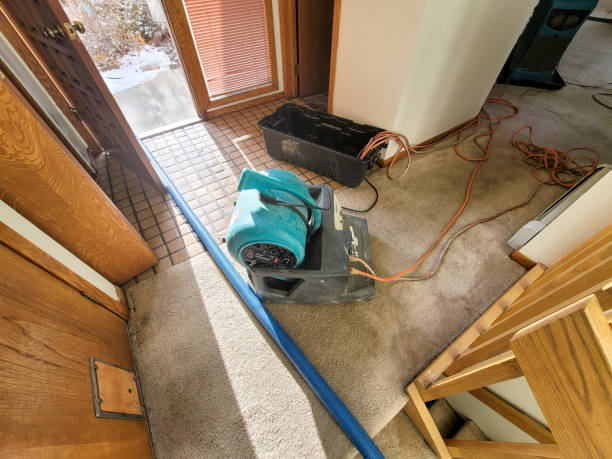 , NM Water damage restoration Company