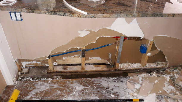 Best Water damage restoration near me  in Indian Hills, NM