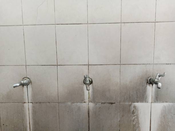 Best Basement water damage restoration  in Indian Hills, NM