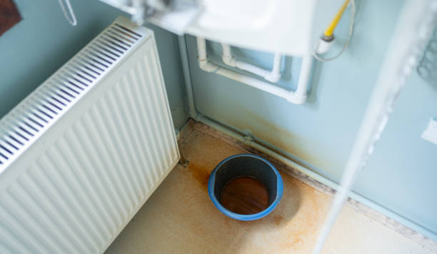 Best Mold removal after water damage  in Indian Hills, NM