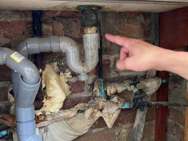 Best Local water damage restoration  in Indian Hills, NM