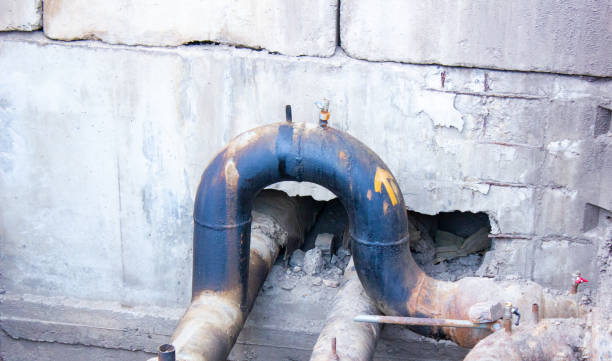 Best Mold removal after water damage  in Indian Hills, NM