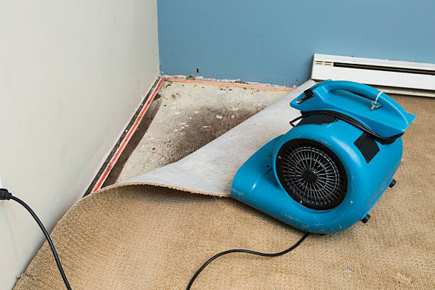 Sewage cleanup and water damage restoration in NM